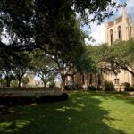 Image of green trees and grass that is partially in the shade, partially in the sun. In the right background is a light brown brick building with spires. To the left is a sign under the shade that reads "Austin Presbyterian Theological Seminary."