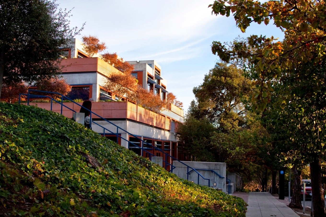 Image of a brown and white building on a hill. In the front left corner is a grassy hill; to the right is trees.
